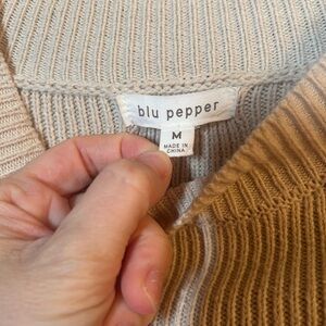 Blu Pepper Cropped Striped Sweater